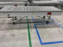 Roach Conveyors 1096MC Conveyor