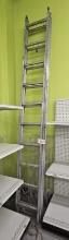 20ft Extension Ladder