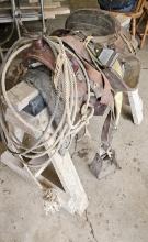 Saddle with Stand & Lasso