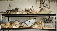 Assortment of Hanging  & Wall Lights & Shades