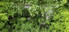 Trailer home for scrap - Buyer Responsible for Removal