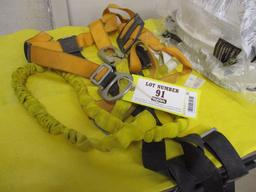 Guardian, Lanyard