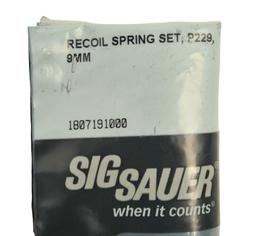 Sig Sauer P229 9mm Barrel, Recoil Spring Set (RTW)