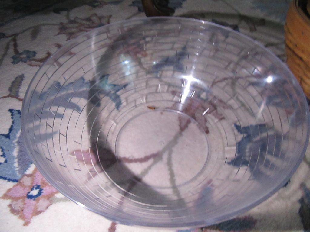 LONGABERGER HOSTESS FULL BASKET SET. NO DATE