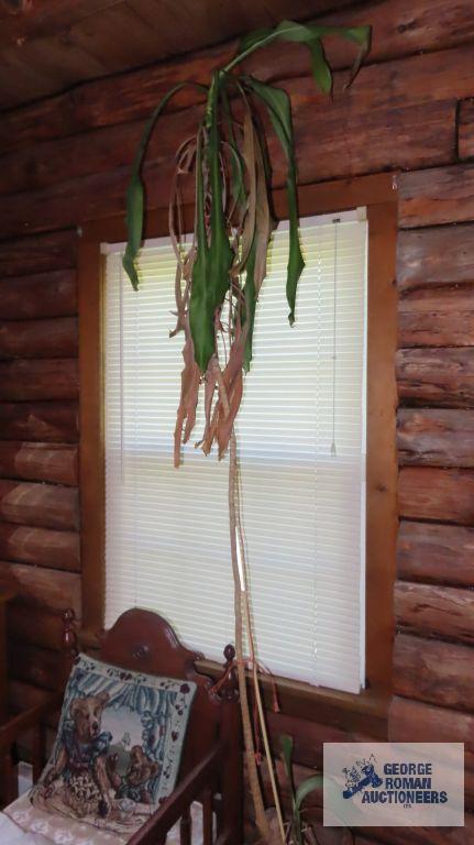 Large planter on wheels