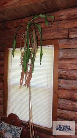 Large planter on wheels