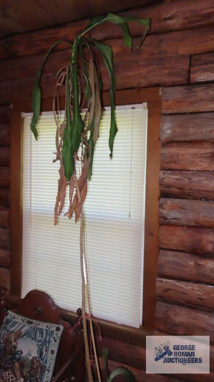 Large planter on wheels