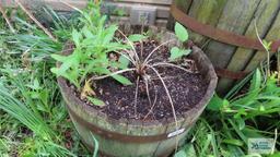 Antique barrel planter