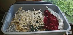 Tote of Christmas lights and garland and other plastic bin with electric cords