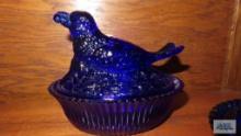 Cobalt blue bird on nest