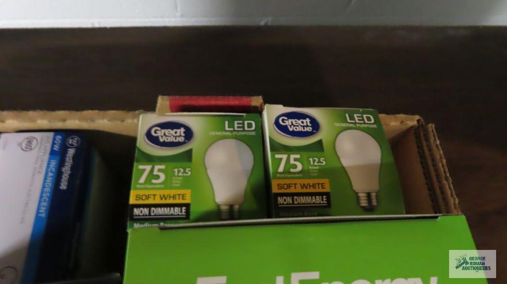 lot of variety of lightbulbs