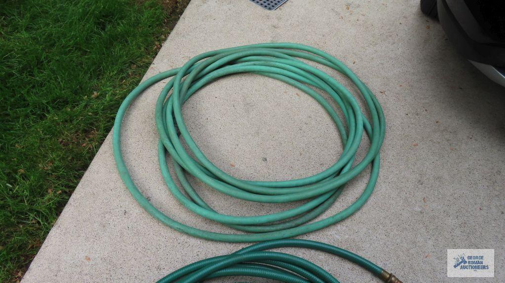 Green garden hose