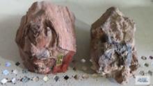 Petrified wood...and other