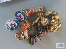 Variety of American flag and angel pins