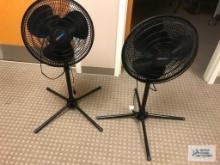 (2) PEDESTAL FANS