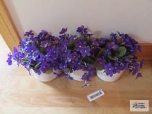 Crocks with purple flowers