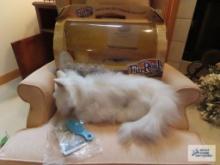 Fur-Real Friends cat with box