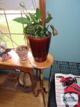 Live plant in ceramic planter on wooden plant stand.
