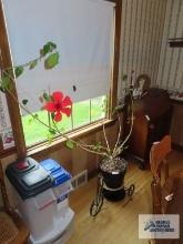 Live plant with tricycle metal stand