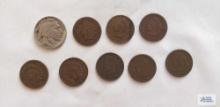 8 Indian Head pennies and 1 Buffalo nickel
