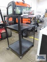 Audio video roll about cart