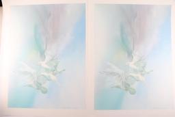 Lot of Two Fine Art Prints