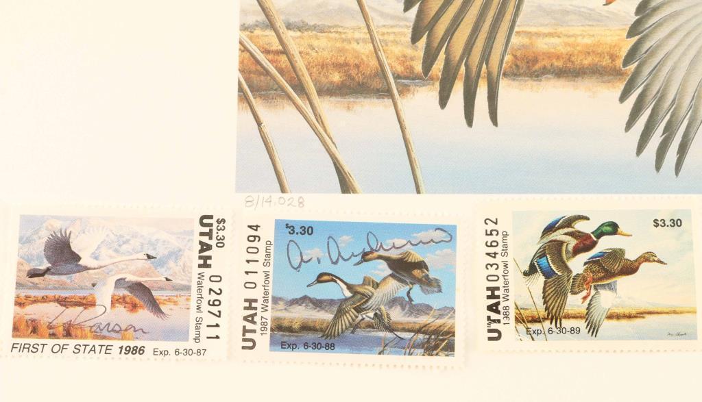 Utah Migratory Waterfowl Prints - 3 Years