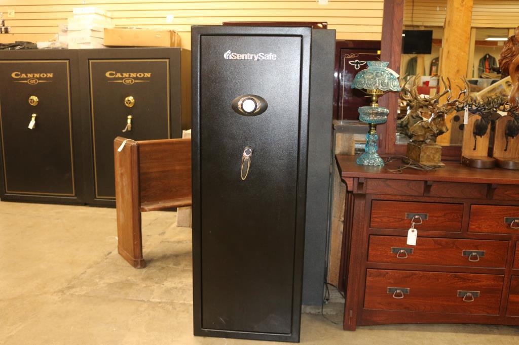 Sentry Gun Safe