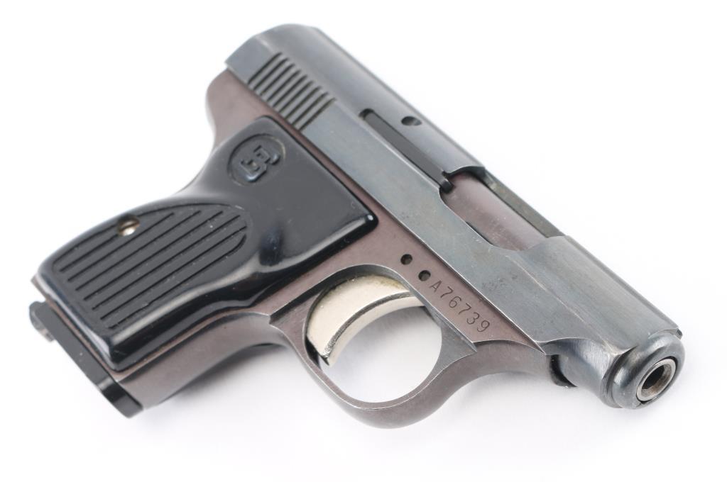 Sterling Arms Model 302 22LR SN: A76739