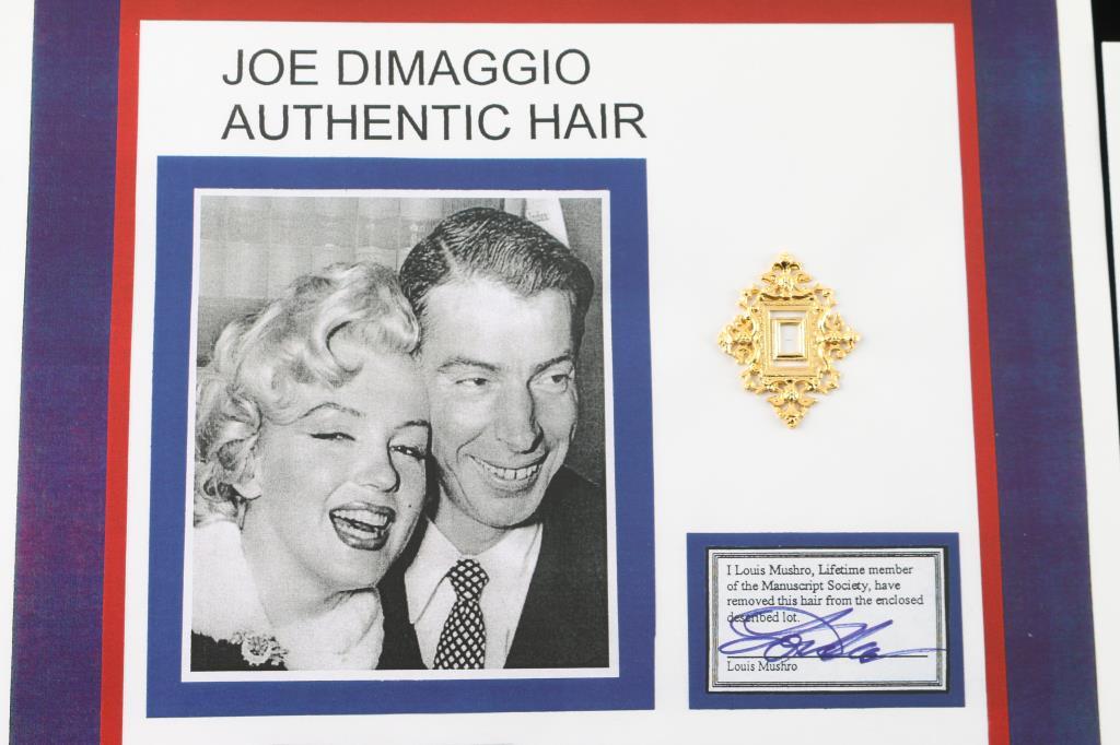 Joe Dimaggio's Hair