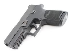 SIG SAUER P250 .45 ACP / .40 S&W EAU019613