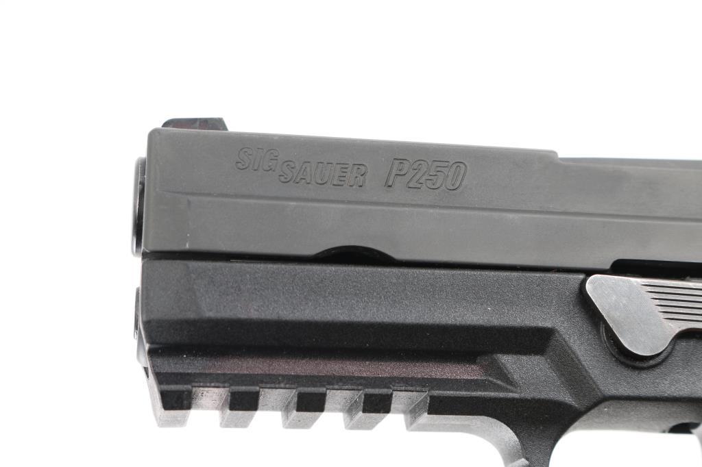 SIG SAUER P250 .45 ACP / .40 S&W EAU019613