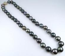 Luxurious Fine Quality Large Tahitian