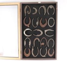 Farriers Corrective Horseshoes.