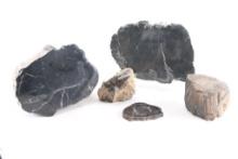 Array of Black Petrified Wood.
