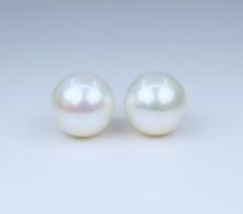 Luxurious Extra Large Fine Quality South Sea