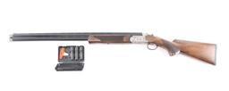 KRC AV / Legacy Sports Pointer Acrius 20 Ga