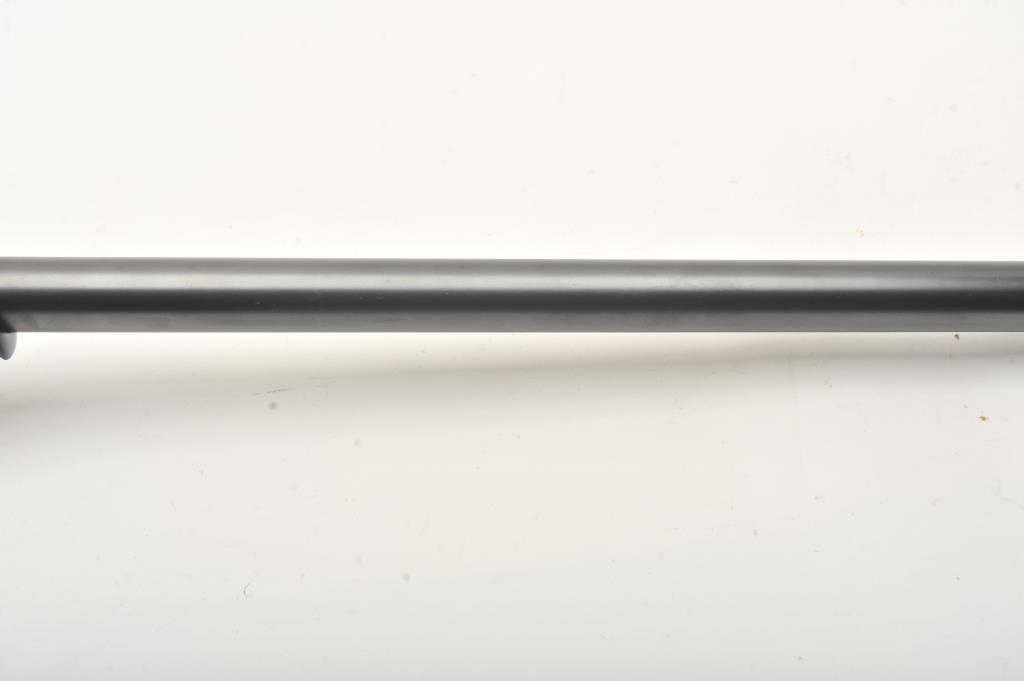 19IB-59 COLT BISLEY