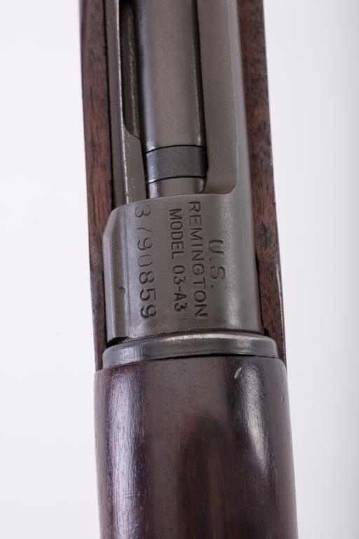 19RG-12 SPRINGFIELD 03-A3