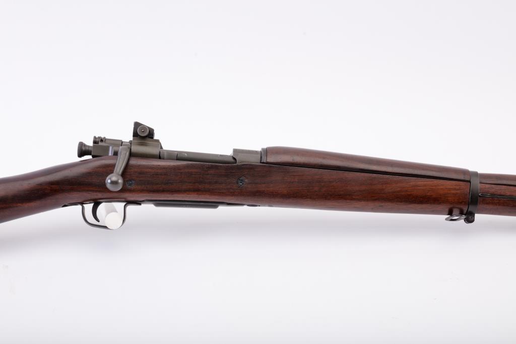 19RG-12 SPRINGFIELD 03-A3