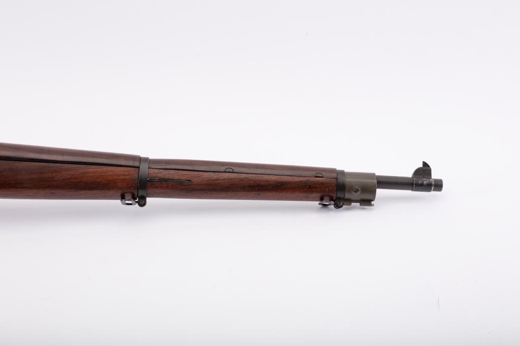 19RG-12 SPRINGFIELD 03-A3