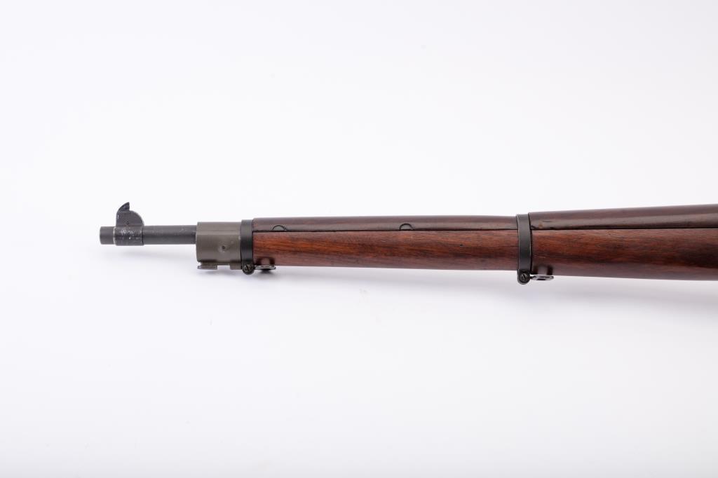 19RG-12 SPRINGFIELD 03-A3