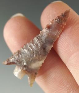 1 5/16" Columbia Plateau that is beautifully colored and semi-translucent -Columbia River.