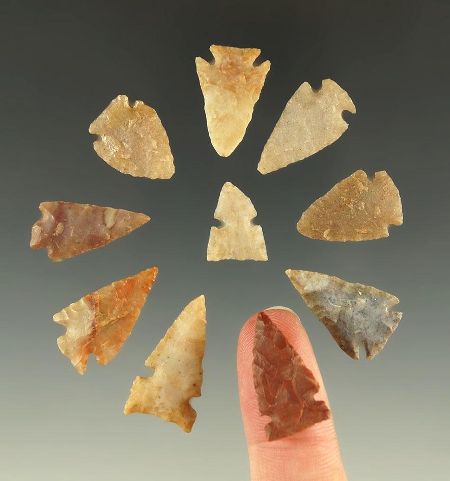 Set of 10 arrowheads found in the Plains region, all in good condition. Largest is 15/16".