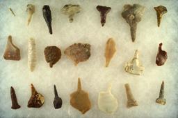 Group of assorted Drills and Perforators found in the Western U. S. Largest is 2 3/8".