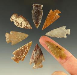 Set of eight assorted Plains arrowheads, largest is 1 3/8".
