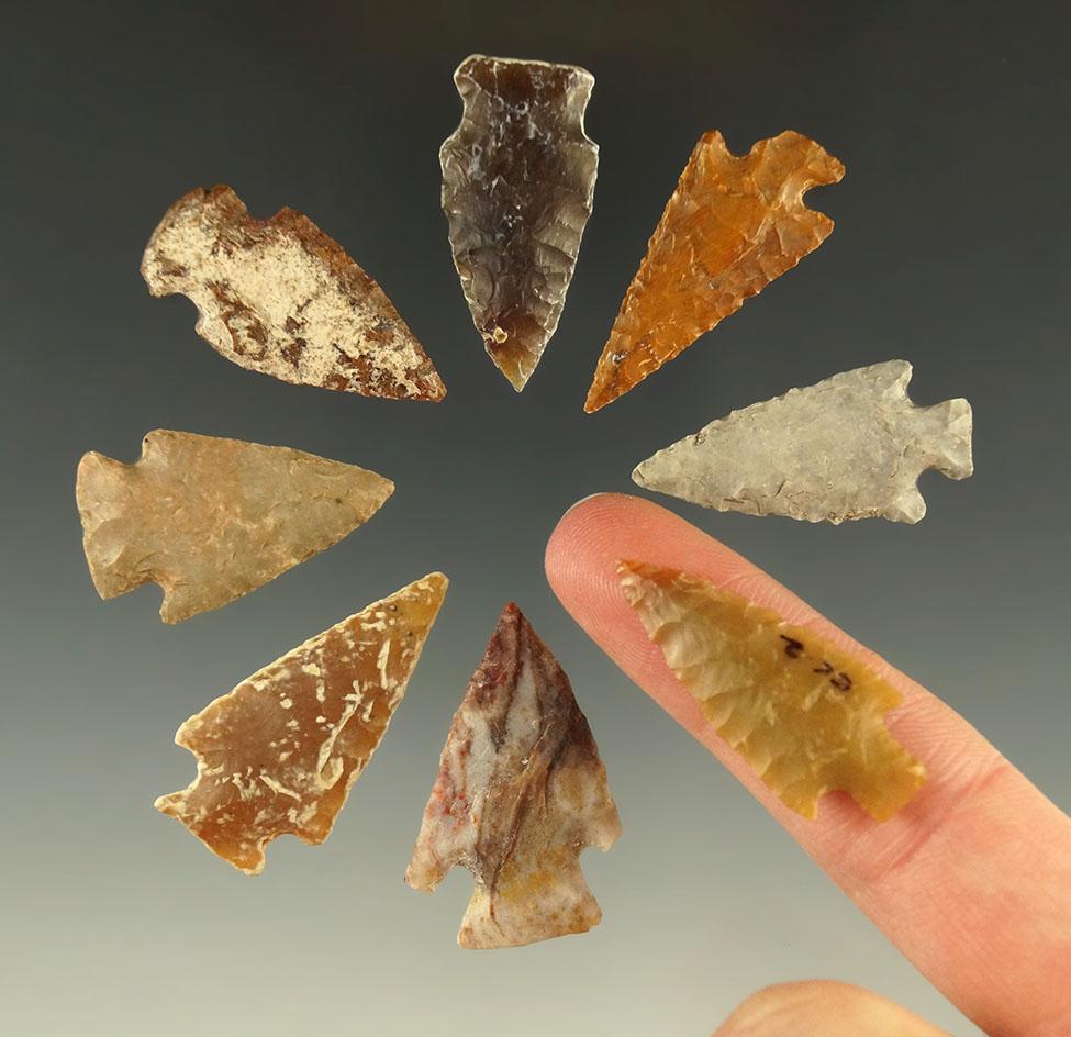 Set of eight assorted Plains arrowheads, largest is 1 3/8".