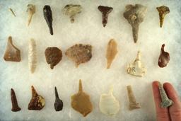 Group of assorted Drills and Perforators found in the Western U. S. Largest is 2 3/8".