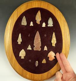 Set of 13 assorted arrowheads from various locations glued to a wood frame.