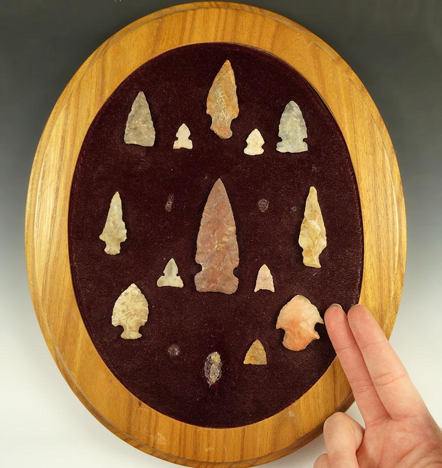 Set of 13 assorted arrowheads from various locations glued to a wood frame.